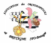 Pour contacter l'Association des Orchidophiles de Bretagne, groupement régional de la SFO...